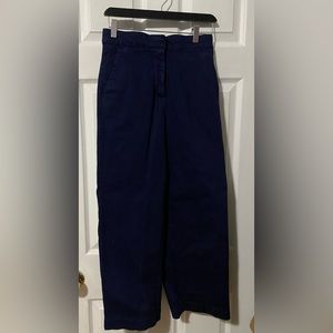 The Group by Babaton Aritzia Wide leg pant
